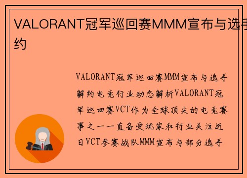 VALORANT冠军巡回赛MMM宣布与选手解约