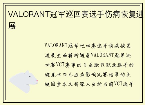 VALORANT冠军巡回赛选手伤病恢复进展